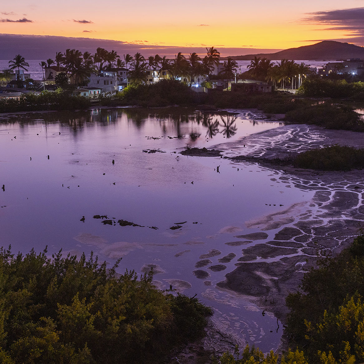 Poza de los Flamingos