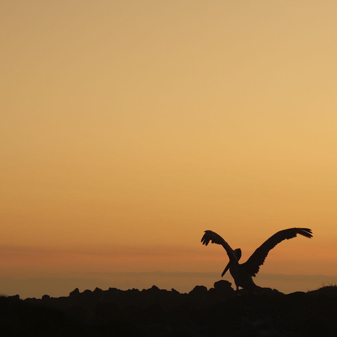 Atardecer en Isabela